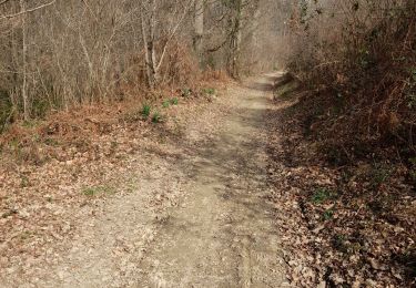 Trail Walking Lanne - promenade Oslo  - Photo