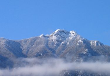 Percorso A piedi Velo d'Astico - San Ubaldo - Monte Priaforà - Photo