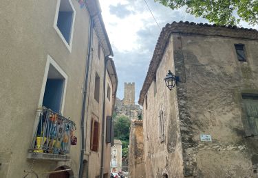 Tour Wandern Saint-Jean-de-Buèges - La vallée de la Buèges le Pioch - Photo