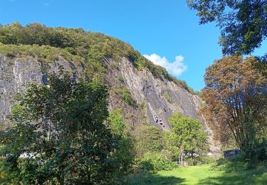 Tocht Stappen Comblain-au-Pont - ambleve . pic de Napoléon . roches noires . ourthe  - Photo