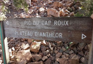 Trail Walking Saint-Raphaël - Grotte St Honorat - Photo