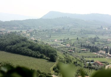 Randonnée A pied Bardolino - Garda - Dacia - Eremo dei Camaldolesi - Rocca Vecchia - Photo