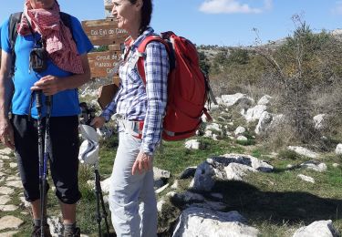 Randonnée Marche Gourdon - plateau de cavillore - Photo