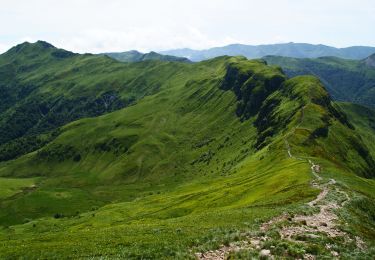 Trail Walking Orcines - 2022-06-10_09h37m07_Au coeur des puys du Parc des Volcans - Photo