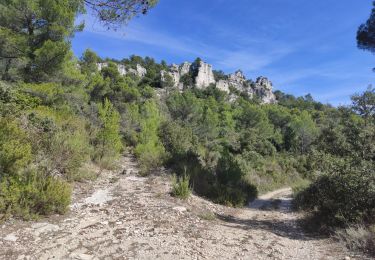 Tocht Stappen Méounes-lès-Montrieux - as du murier - Photo