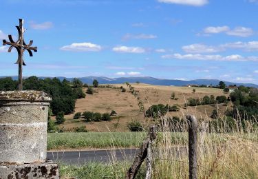 Tour Wandern Domaize - Domaize_Ronde_Fruits - Photo