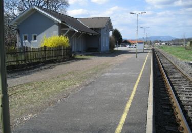 Trail On foot Bad Waltersdorf - Herz-Kreislauf mit Lauf ABC - Photo