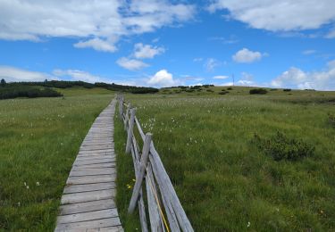 Tocht Stappen Villanders - Villandro - Villanderer Alm - Stöfflhütte et prairies marécageuses - Photo