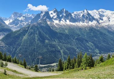 Excursión Senderismo Chamonix-Mont-Blanc - TMB 10 variante - Tré le Champ -> Chamonix (via téléphérique de La Flégère) - Photo