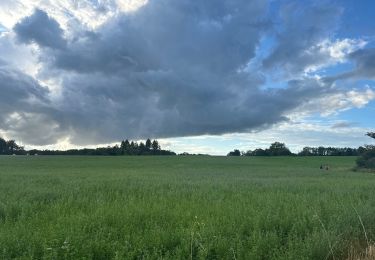 Tocht Stappen Colombe-lès-Vesoul - Colombe-damplavey-thumulus-colombe - Photo