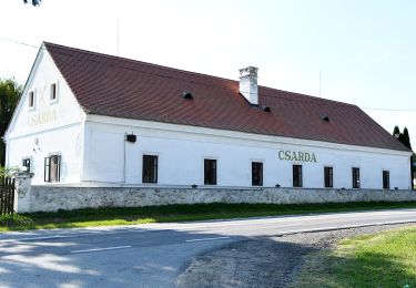 Percorso A piedi Zalaszentbalázs - S■ - Photo