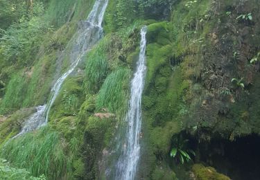 Excursión Senderismo Écrille - haute vallée de la valouse - Photo
