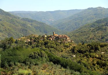 Trail On foot Pescia - IT-57 - Photo