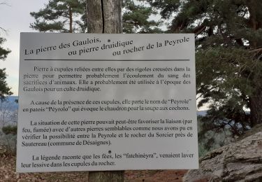 Excursión Senderismo Labatie-d'Andaure - Le rocher de Peyrolle Labatie d Andaure - Photo