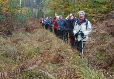 Excursión Senderismo Fontainebleau - la Solle 18 novembre 2022  - Photo