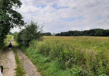 Tocht Stappen Bergen - Mont Paniselle - Photo