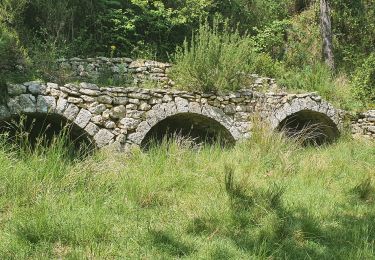 Excursión Senderismo Rougiers - Rougiers, Piégu, la fontaine de la Guillandière, le Castrum - Photo