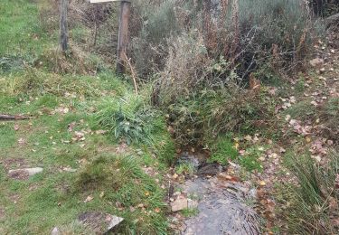 Excursión Senderismo Mont Lozère et Goulet - sources du lot - Photo