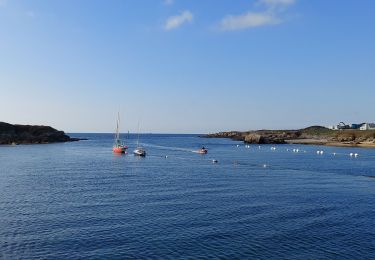 Tocht Stappen Lampaul-Plouarzel - Lampaul-Plouarzel - Photo