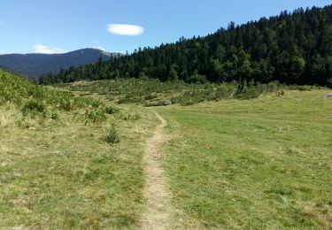 Trail On foot Bagnères-de-Bigorre - ARTIGUES à  PAYOLLE g4 fait 