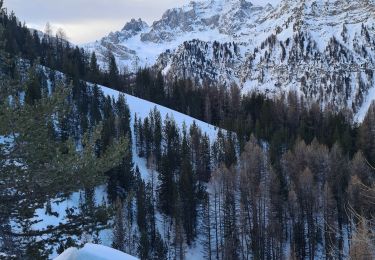 Trail Touring skiing Ceillac - col albert tête de rissace - Photo