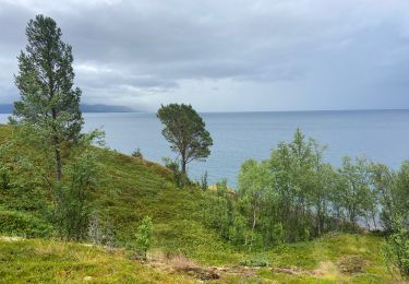 Trail Walking  - Heggvika - Photo