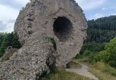 Tour Elektrofahrrad Thann - Thann lac de Kruth  - Photo