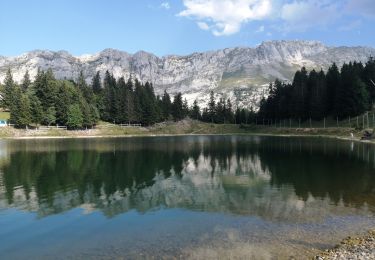 Tocht Stappen Villard-de-Lans - lac des pres - Photo