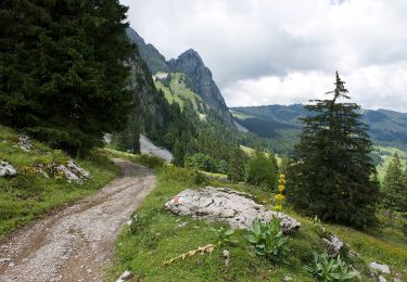 Tocht Te voet Schwyz - Mythenweg - fixme - Photo