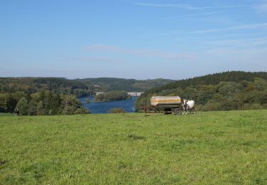 Tocht Te voet Radevormwald - Neuenhof Rundweg A3 - Photo