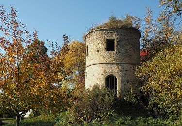 Tour Zu Fuß Sachsenheim - DE-SAV Rotes Kreuz, von - nach? - Photo