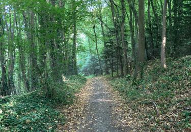 Trail Walking Tourneville - Vallée de l’Iton 1 - Photo