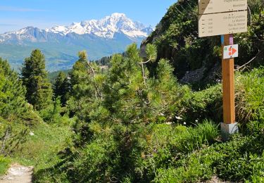 Trail Walking La Plagne-Tarentaise - Plagne Soleil, Plagne Centre par le Haut du télésiège du Colorado  - Photo