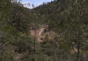 Randonnée Marche Corbières-en-Provence - Le Trou du loup et chapelle St Brice de Corbières  - Photo