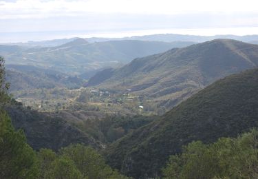 Randonnée A pied Coín - Sendero El Nacimiento - Cerro Alaminos - Photo