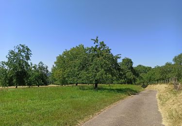 Trail Walking Fougerolles-Saint-Valbert - 24-06-23 marche fête des cerises - Photo