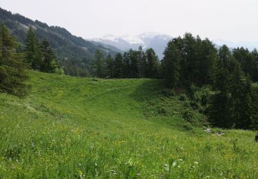 Excursión Marcha nórdica Arbaz - Anzère par les Evouettes  - Photo