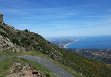 Tocht Stappen Collioure - Tour de Madaloc - Photo