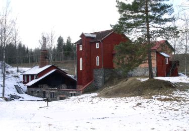 Trail On foot  - Dammrundan - Photo