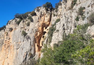 Randonnée Marche Cabasse - Cabasse le dolmen  - Photo