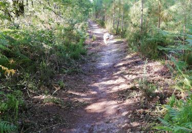 Trail Walking Rion-des-Landes - 80 8 2021  - Photo