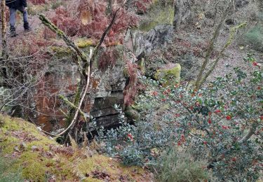 Trail Walking Fontainebleau - test  - Photo