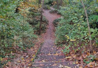 Trail Walking Châtenay-Malabry - La forêt de Verrieres - Photo