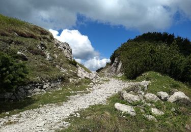 Trail On foot Magasa - Passo della Puria, Monte Caplone, incr. 444 - Photo