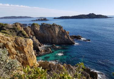 Excursión Senderismo Hyères - Côte est de la presqu'île de Giens - Photo