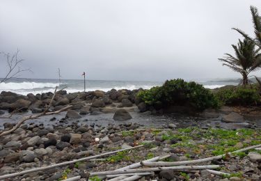 Tocht Stappen Basse-Pointe - Chalvet - Photo