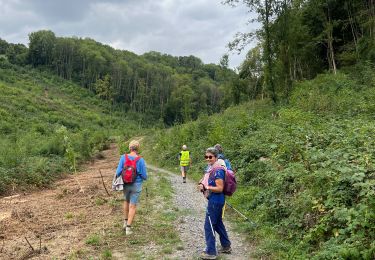 Tour Wandern Sprimont - Florze - Photo