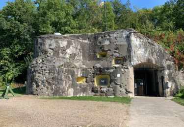 Randonnée Marche Riemst - De Kanne au fort d'Eben-Emael - Photo