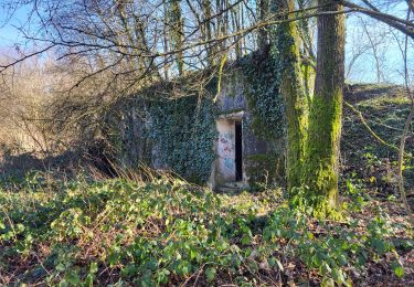 Tocht Stappen Sevenans - Randonnée des forts depuis Sévenans - Photo