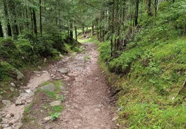 Tour Wandern Gerdsee - le circuit des xettes Gérardmer 07/08/23 - Photo